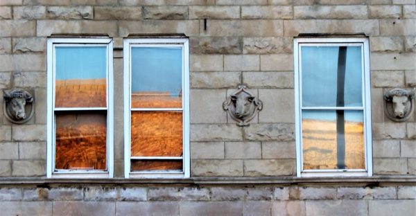 A gray stone wall with three windows and terra cotta cow heads.