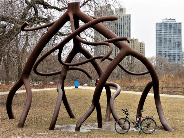 Public root shaped sculpture with a bike.