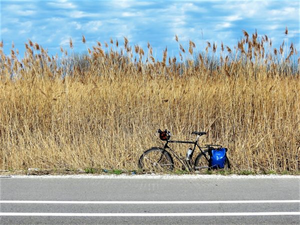 Tall grass with bicycle seen during a tour ride.