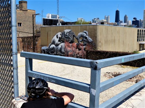A CBA bike tour rider taking a picture of a black and white dead ram mural with the John Hancock Building in the distance
