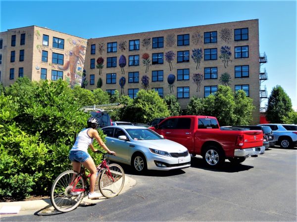 A CBA bike tour rider looking at a mural of a fox, rabbit, and flowers that covers a five story early 1900 converted factory building