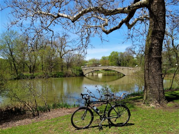 A tour bike standing nuder a leafless tree limb infront of a bridge to an island in a lagoon