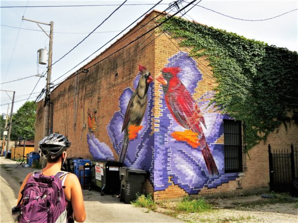 A bike tour rider looking at a painting of two cardinals on an iris on either side of an alley corner.