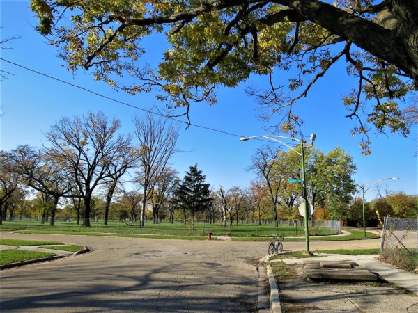 A tour bike at the curb with an open field of grass and trees where apartments used to be.