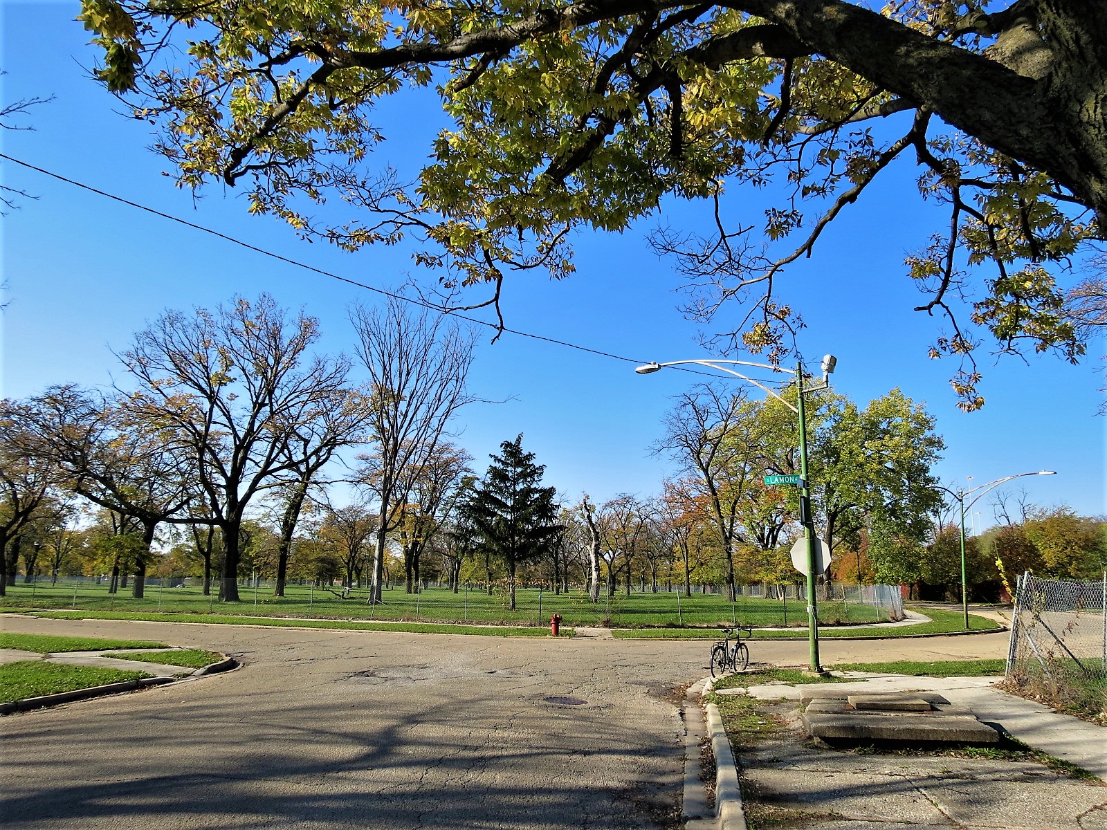 A tour bike at the curb with an open field of grass and trees where apartments used to be.