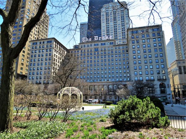 A tour bike among blue ground level flowers and a white gazebo with a 20 story Romanesque hotel building and skyscrapers behind.
