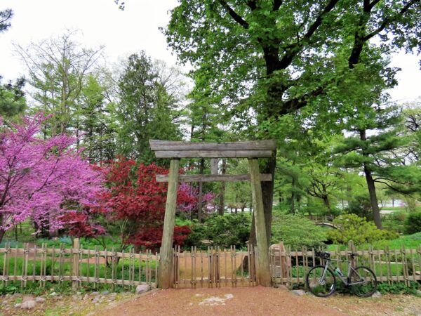 A tour bike leaning on a bamboo fence to the right of a Japanese Tori gate with a Japanese style garden behind.