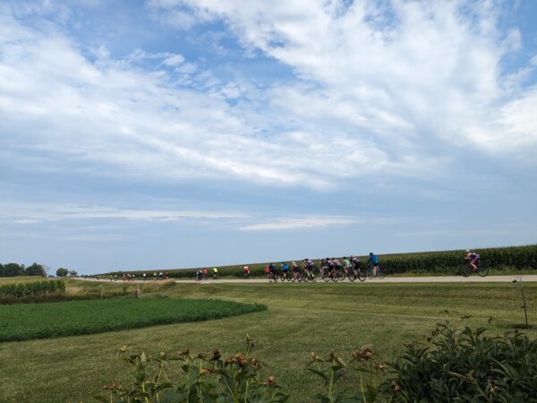 A sting of cyclists on a state road with cornfields and a blue slightly cloudy sky.