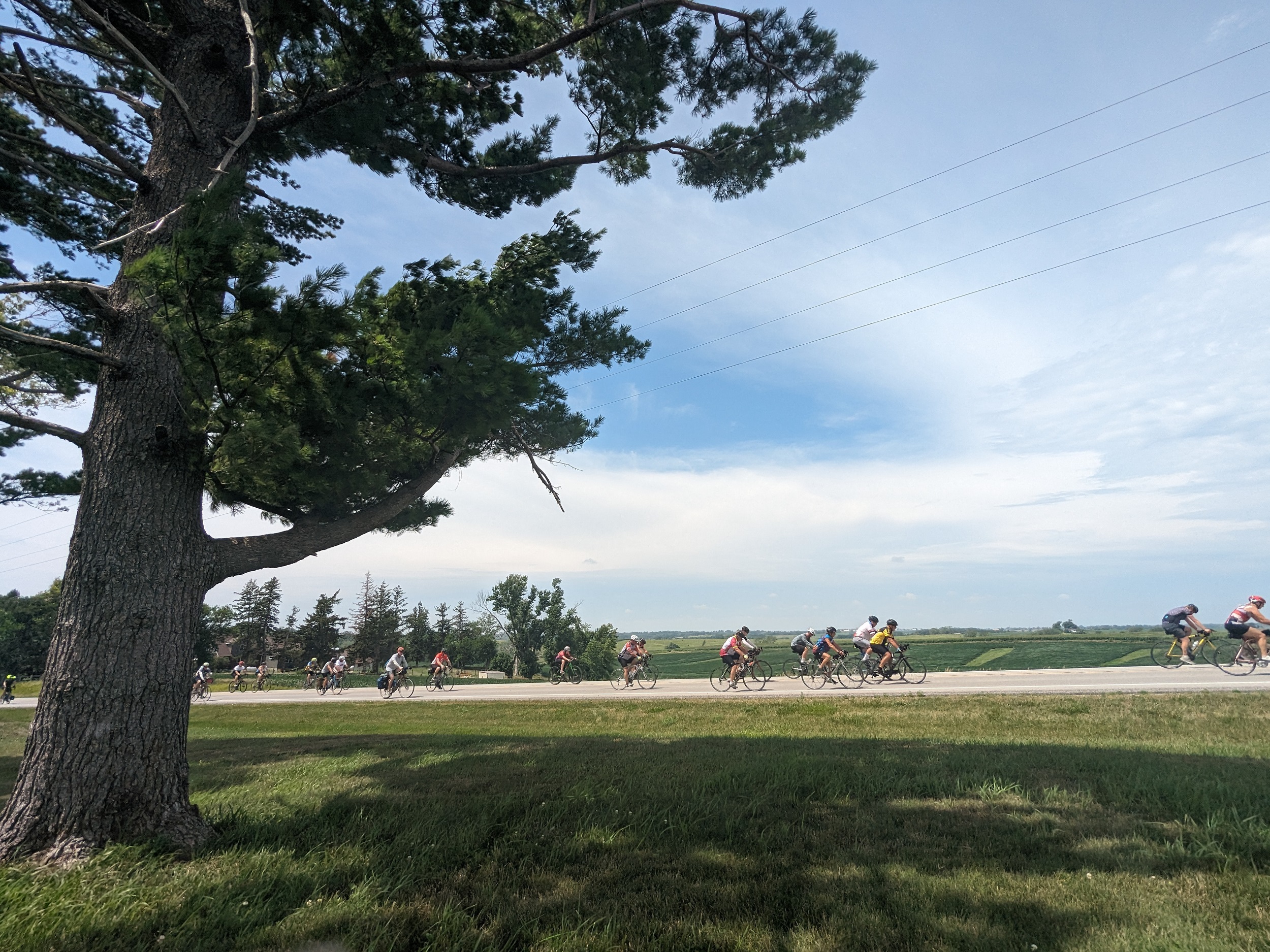 A tree to the left frames a road of cyclists with open fields in the distance