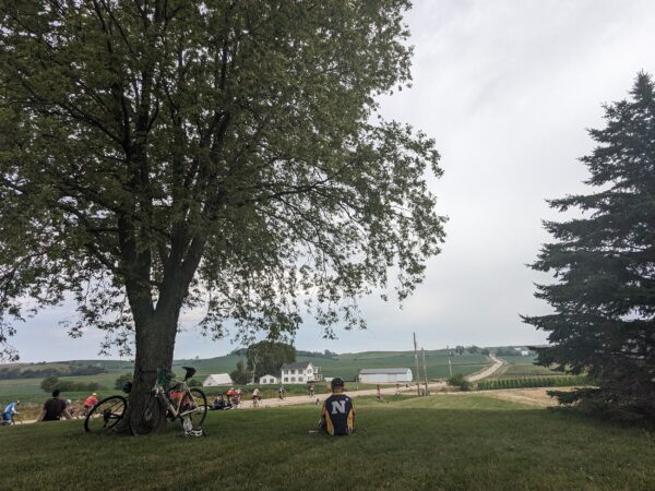 A cyclist sitting in the grass, bike leaning on a tree left, watches others ride into the slowly upward sloping distance.