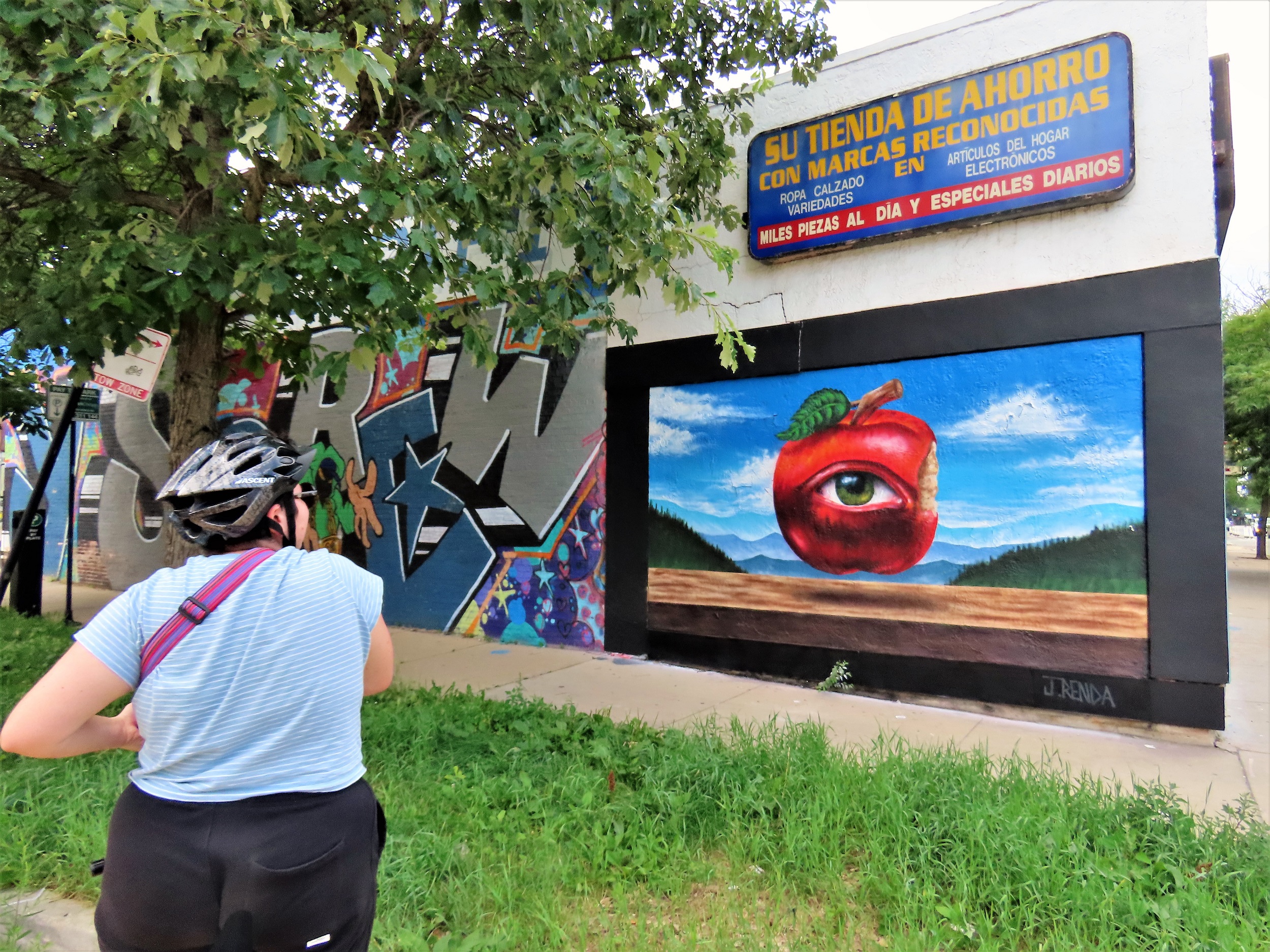 A CBA bike tour rider looking at a surrealist mural with an apple with an eye suspended above brown dirt in a green valley.