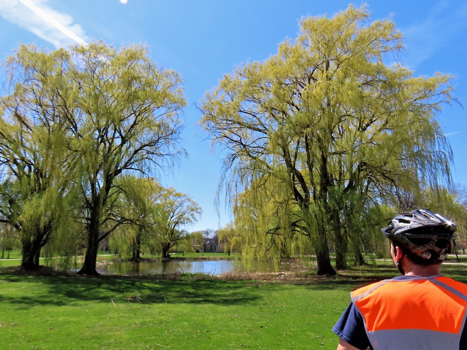 A CBA bike tour rider looking at two rows of willow trees outlining a pond.